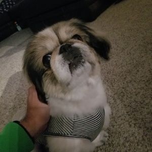 Meet your Posher, Lisa